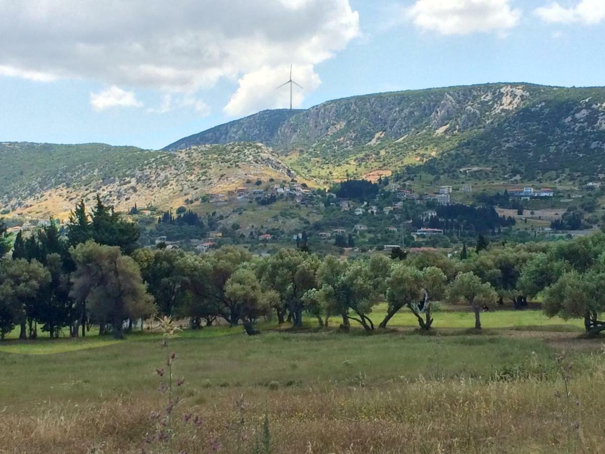 Zeytinli Konak Bed & Breakfast อิซมีร์ ภายนอก รูปภาพ